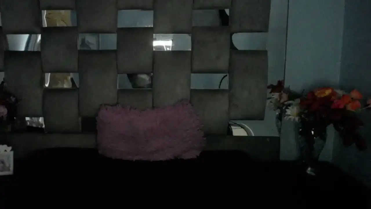 Melisajhons - Sakuralive Live Video Recording - 2025 04-11 20:47:18